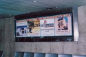 0_4686888_152964.jpg